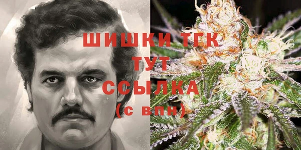 COCAINE Каменка