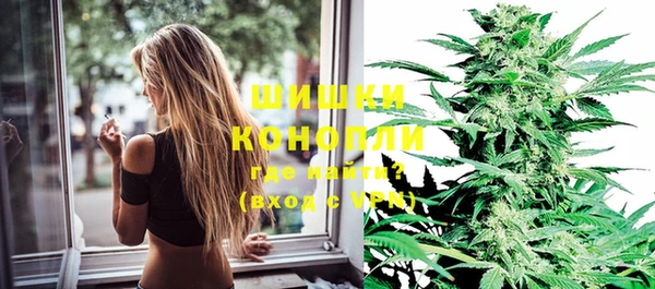 прущие крисы Инсар