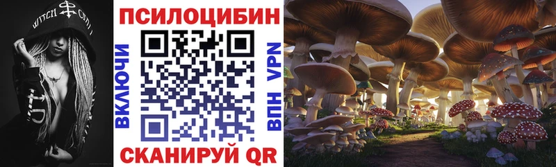 Галлюциногенные грибы MAGIC MUSHROOMS  Купить  Ветлуга 