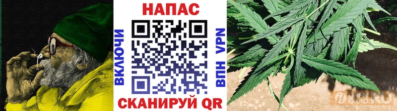 МАРИХУАНА план  Купить где  Ветлуга 